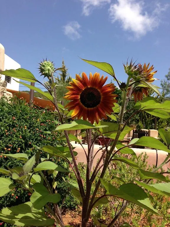 Agroturismo Xarc Santa Eularia des Riu 0*,